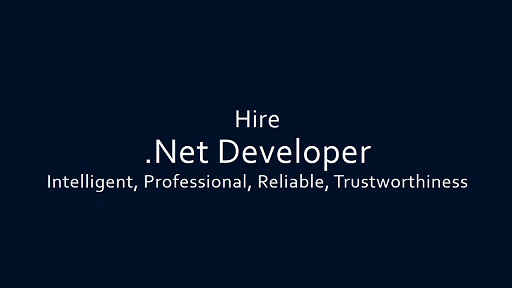 Hire .Net Developer Programmer