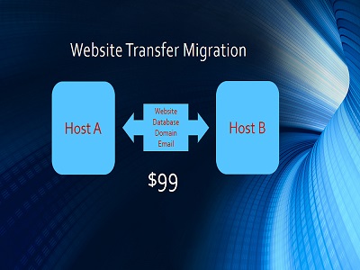 Website transfer migration service plan